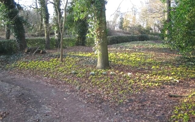 Bulmer Tye House