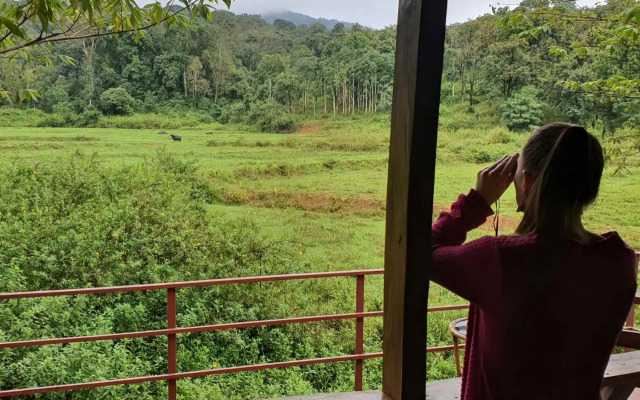 Jungle Retreat Wayanad