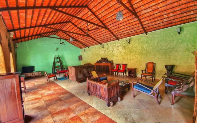 Greetoe Celebration Van Vilas