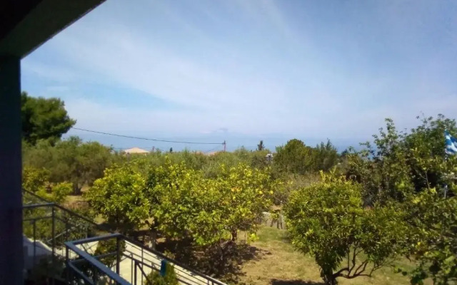Panorama Rooms