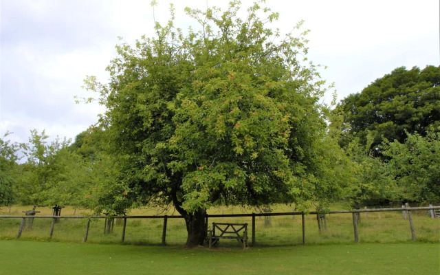 Ta Mill Holiday Cottages & Lodges - Forge Cottage