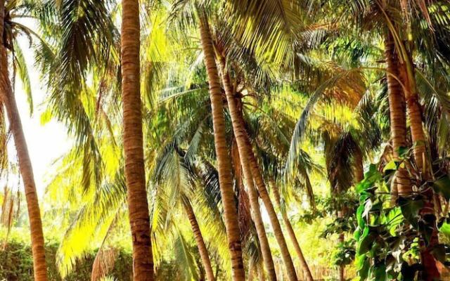 Punta Arena Surf Suites