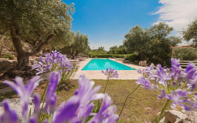 Trullo Agapanthus