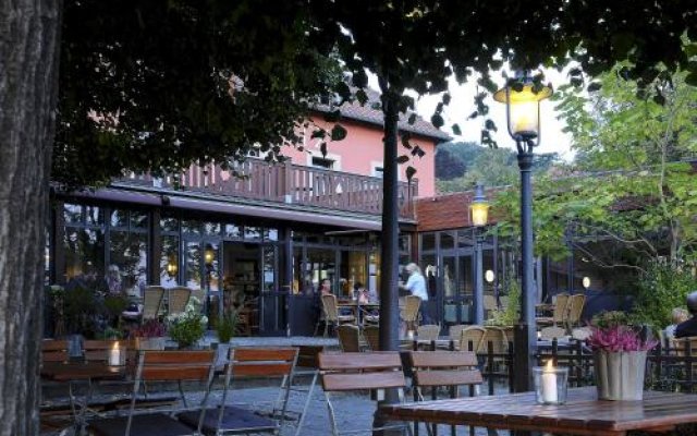 Elbterrasse Wachwitz