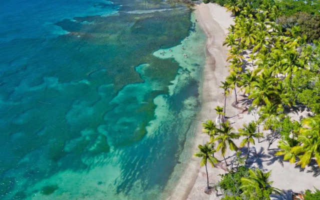 Senator Puerto Plata Spa Resort (ex Riu Bachata Club Hotel)