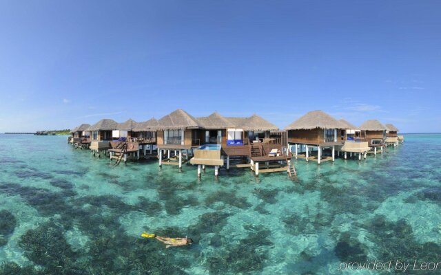 Coco Bodu Hithi