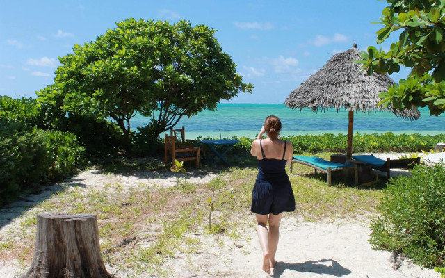 Driftwood Beach Lodge