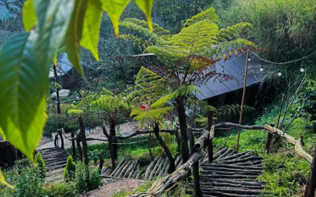 Nắng homestay