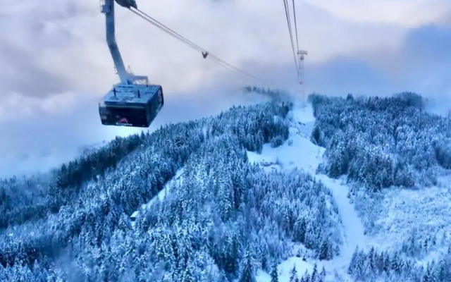 Sweet Alpen Home