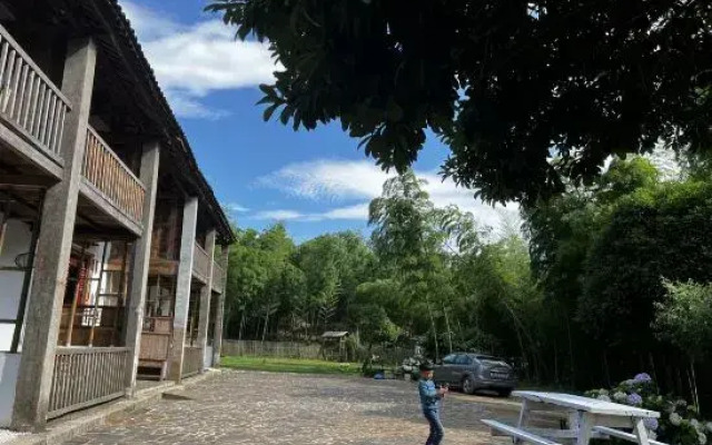 Life in Mountains