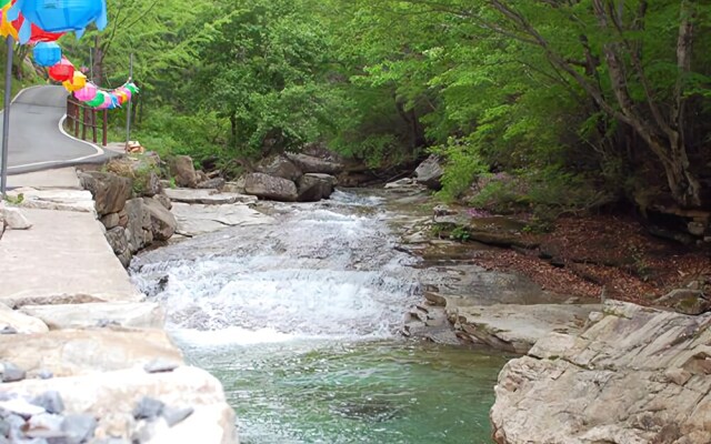 Jecheon Hansol Pension