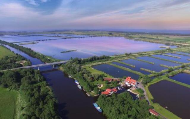 Mėlynojo karpio namas