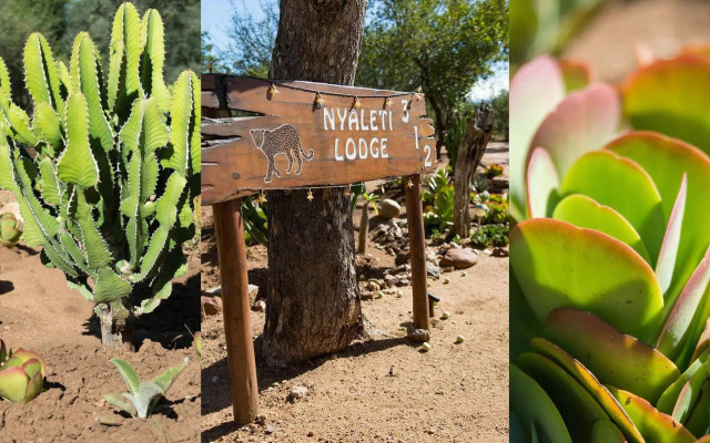 Nyaleti Lodge
