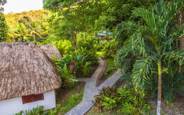 The Maya Mountain Lodge