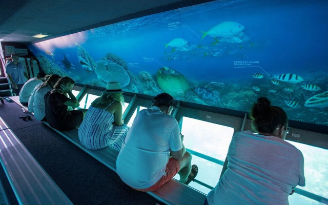 Reefsleep