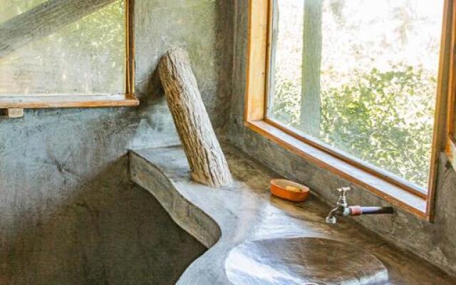 Tree House Lodge