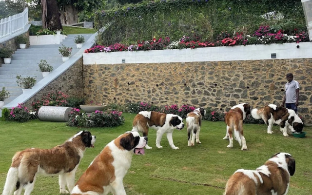 Benito Bungalow by The Serendipity Collection