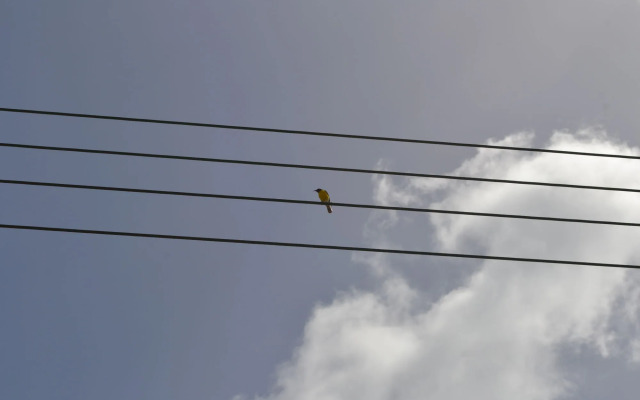 Vistalmar Ocean Suites