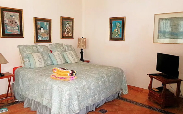 Casa Gatos