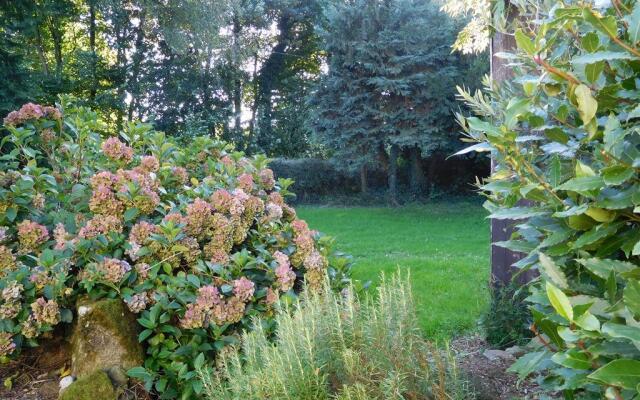 B&B ~ Repos sous les arbres