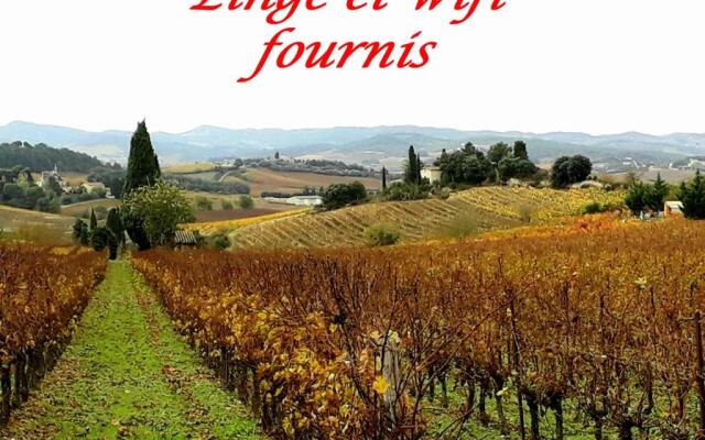 La Languedocienne appartement climatisé centre ville wifi inclus