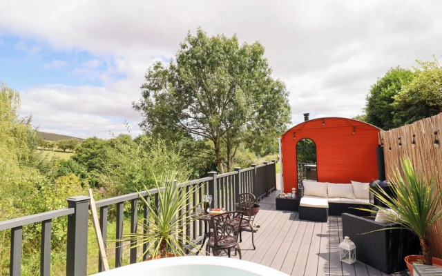 Red Kite at Wild Valley Huts