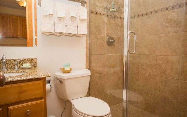 Crested Butte Condominiums