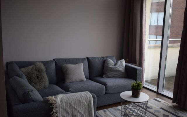 1 Bedroom Apartment With Balcony In Dublin