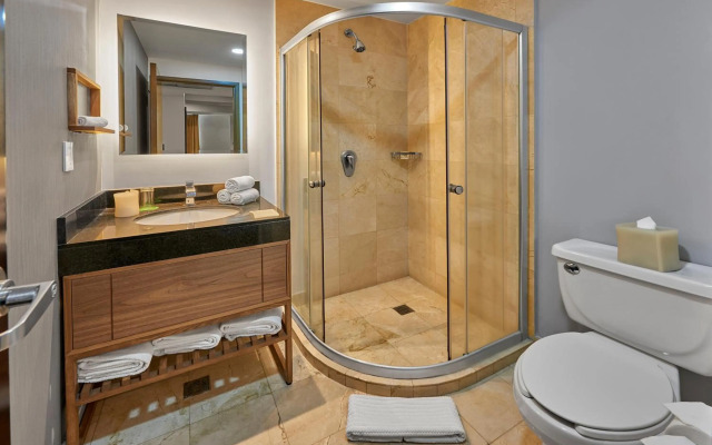 Hilton Garden Inn Mexico City Polanco