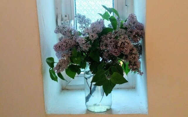 Sandomil Riverbeach Tiny House