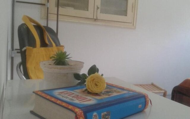 catalogImage