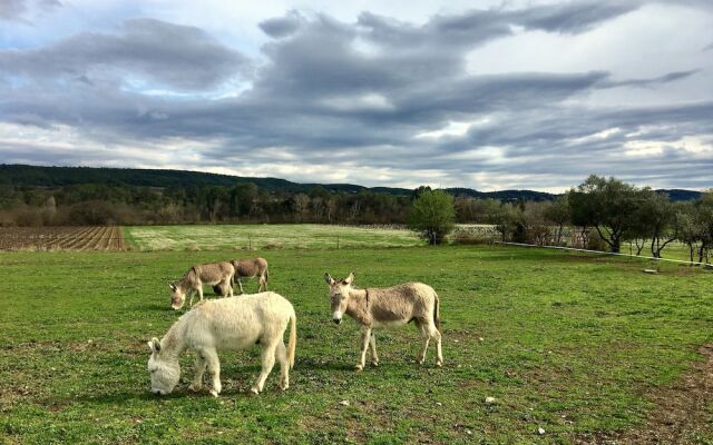 La Colline des Oliviers