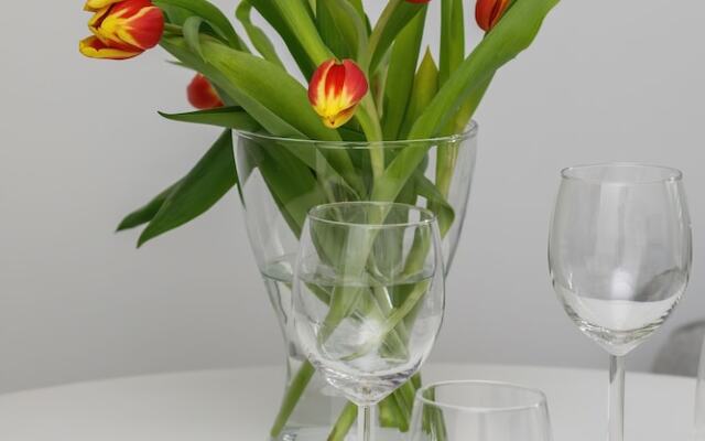 Shellter Apartment Rogowo by Renters