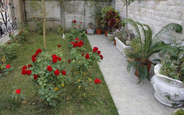 Beautiful Apartments in Villa near Airport