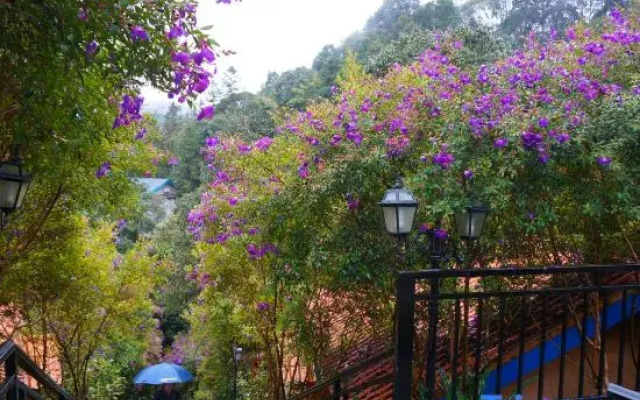 New Taoyuan Mountain Village