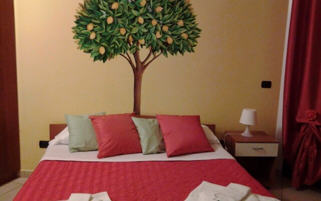 B & B Paradise