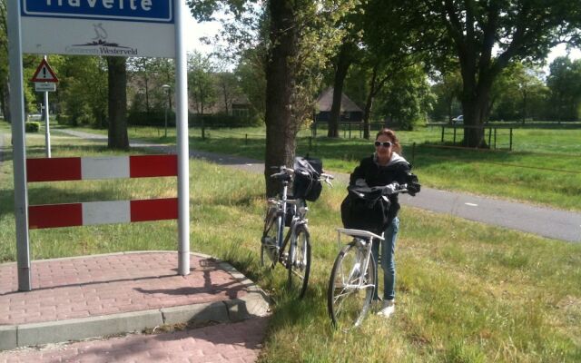 Pleasing Villa in Havelte With Terrace and Fenced Garden