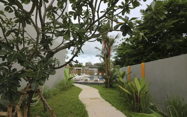 The Nice Mangoes