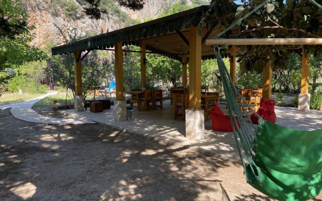Kekik