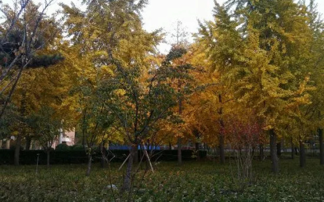 Chengjiang Yanhu Inn