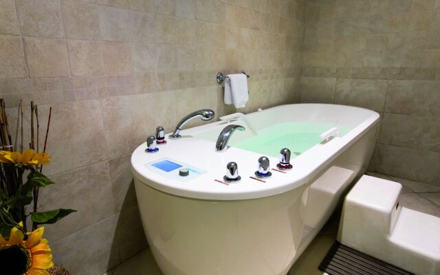 Hotel & Spa Vacances Bleues Villa Marlioz