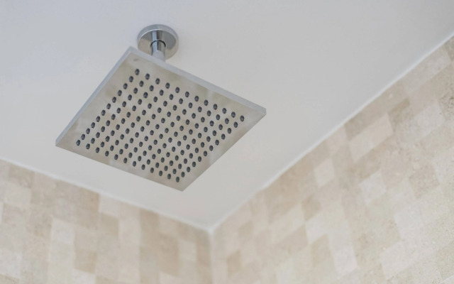 Guestready - Mushroom