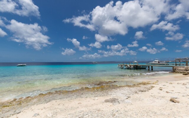 Blachi Koko Apartments Bonaire