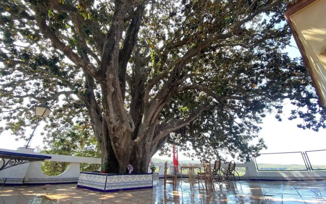 Complete, Spacious House, With Pool and Surrounded by Nature