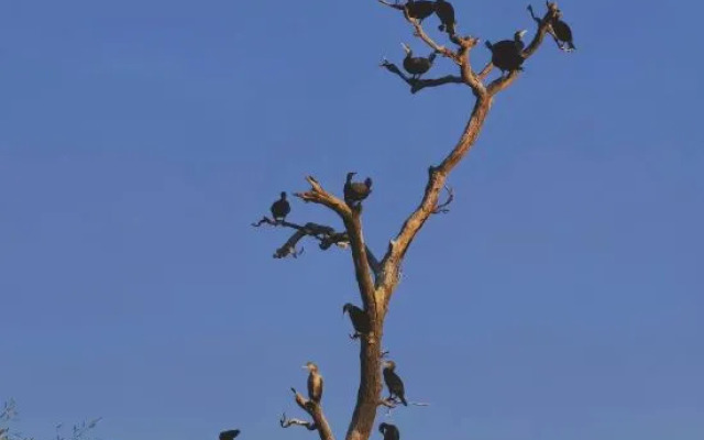 Orhao Apartment Hotel (Xiaojinkou)