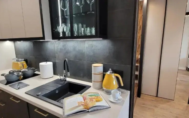 PLATiNIUM RESIDENCE&SPA BASEN-SAUNA CENTRUM