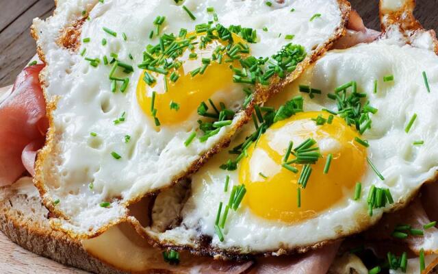 Hotel Elegance New Delhi Railway