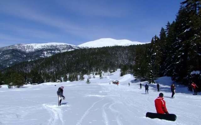 Ilgaz Armar Hotel