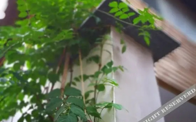 The Nine Boutique Hostel