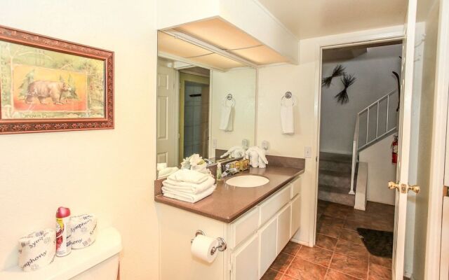 Brown Bear's Den Condo